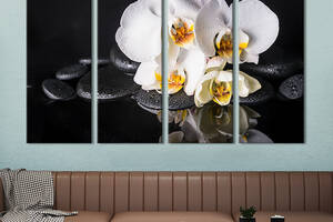 Модульная картина из 4 частей на холсте KIL Art Красивые белые орхидеи 149x93 см (68-41)