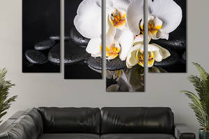 Модульная картина из 4 частей на холсте KIL Art Нежные белые орхидеи 149x106 см (68-42)