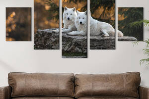 Модульная картина из 5 частей на холсте KIL Art Белые северные волки 162x80 см (179-52)