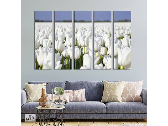 Модульная картина из 5 частей на холсте KIL Art Белые тюльпаны на поле 132x80 см (237-51)