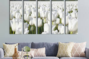 Модульная картина из 5 частей на холсте KIL Art Белые тюльпаны на поле 87x50 см (237-51)