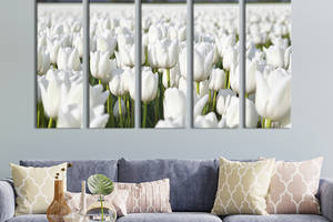 Модульная картина из 5 частей на холсте KIL Art Белые тюльпаны на поле 155x95 см (237-51)