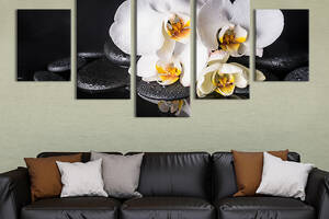 Модульная картина из 5 частей на холсте KIL Art Белые орхидеи и чёрный фон 162x80 см (68-52)