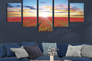 Модульная картина из 5 частей на холсте KIL Art Бескрайнее поле тюльпанов 112x54 см (595-52)