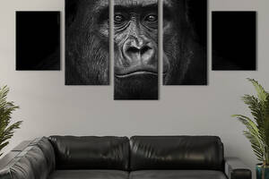 Модульная картина из 5 частей на холсте KIL Art Большая чёрная горилла 112x54 см (192-52)