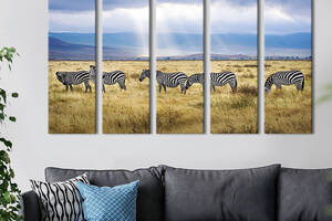 Модульная картина из 5 частей на холсте KIL Art Чёрно-белые зебры 132x80 см (193-51)