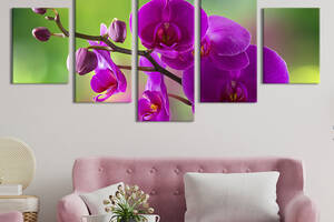 Модульная картина из 5 частей на холсте KIL Art Декоративная орхидея 162x80 см (238-52)