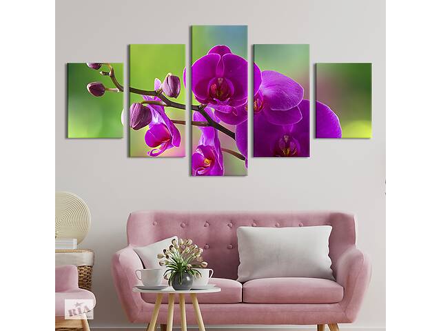 Модульная картина из 5 частей на холсте KIL Art Декоративная орхидея 112x54 см (238-52)