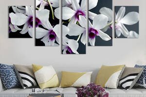 Модульная картина из 5 частей на холсте KIL Art Дикая орхидея 162x80 см (220-52)