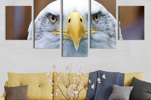 Модульная картина из 5 частей на холсте KIL Art Холодный взгляд орла 162x80 см (204-52)