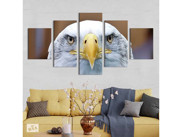 Модульная картина из 5 частей на холсте KIL Art Холодный взгляд орла 187x94 см (204-52)