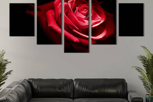 Модульная картина из 5 частей на холсте KIL Art Красная роза на чёрном фоне 162x80 см (222-52)