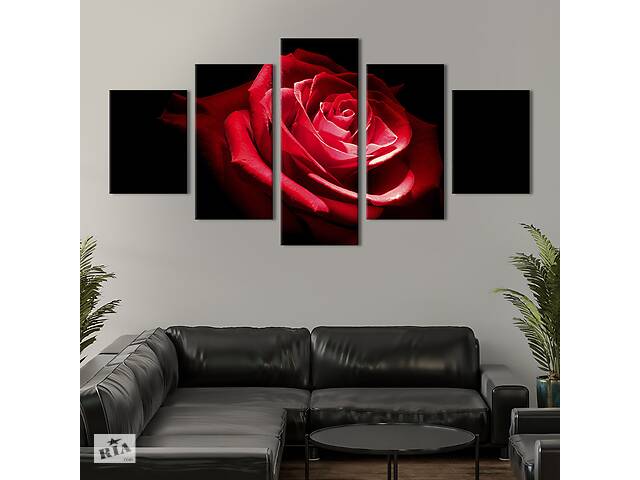 Модульная картина из 5 частей на холсте KIL Art Красная роза на чёрном фоне 162x80 см (222-52)