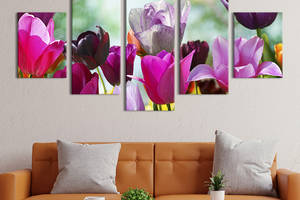 Модульная картина из 5 частей на холсте KIL Art Красота цветения тюльпанов 162x80 см (224-52)