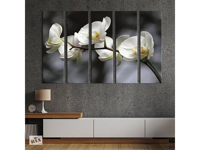 Модульная картина из 5 частей на холсте KIL Art Красота орхидеи 132x80 см (230-51)
