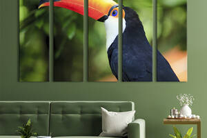 Модульная картина из 5 частей на холсте KIL Art Красивая птица тукан 155x95 см (128-51)