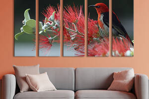 Модульная картина из 5 частей на холсте KIL Art Красивая красная птичка 132x80 см (129-51)