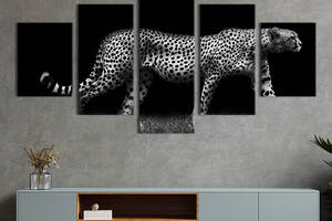 Модульна картина з 5 частин на полотні KIL Art Леопард у профіль 187x94 см (147-52)