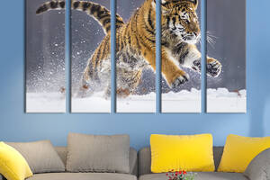 Модульная картина из 5 частей на холсте KIL Art Молодой грациозный тигр 155x95 см (170-51)