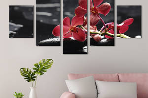 Модульная картина из 5 частей на холсте KIL Art Мотыльковая орхидея 112x54 см (61-52)