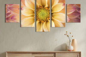 Модульная картина из 5 частей на холсте KIL Art Нежно-персиковая хризантема 187x94 см (251-52)