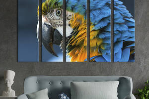 Модульная картина из 5 частей на холсте KIL Art Огромный попугай ара 132x80 см (157-51)