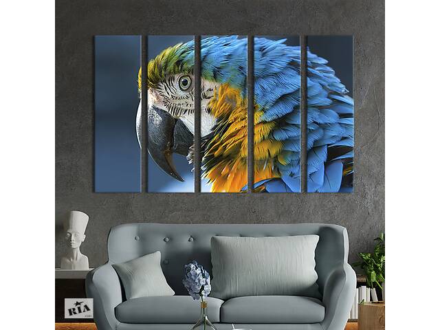 Модульная картина из 5 частей на холсте KIL Art Огромный попугай ара 132x80 см (157-51)