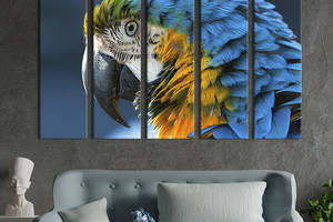 Модульная картина из 5 частей на холсте KIL Art Огромный попугай ара 155x95 см (157-51)