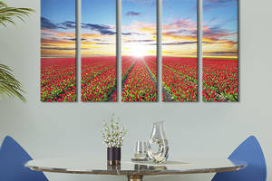 Модульная картина из 5 частей на холсте KIL Art Поле красных тюльпанов 132x80 см (595-51)
