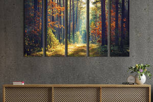 Модульная картина из 5 частей на холсте KIL Art Поляна в солнечном лесу 155x95 см (615-51)