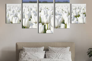 Модульная картина из 5 частей на холсте KIL Art Прекрасные белые тюльпаны 162x80 см (237-52)