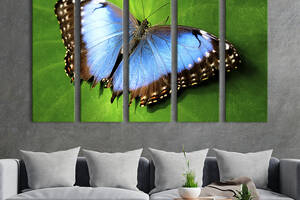 Модульная картина из 5 частей на холсте KIL Art Редкая тропическая бабочка 87x50 см (132-51)