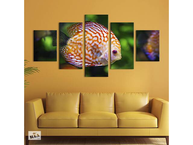 Модульная картина из 5 частей на холсте KIL Art Рыба с необычным узором 162x80 см (188-52)