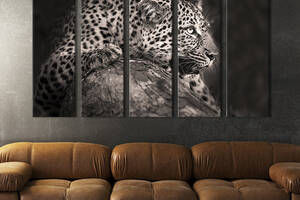 Модульная картина из 5 частей на холсте KIL Art Рычание леопарда 155x95 см (207-51)