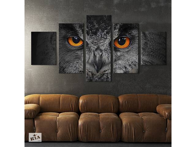 Модульна картина з 5 частин на полотні KIL Art Сіра сова з яскравими очима 162x80 см (139-52)