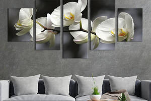 Модульная картина из 5 частей на холсте KIL Art Снежная орхидея 112x54 см (230-52)