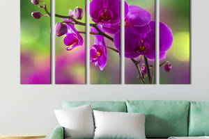 Модульная картина из 5 частей на холсте KIL Art Цветущая орхидея 132x80 см (238-51)