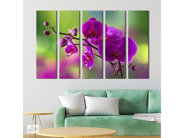 Модульная картина из 5 частей на холсте KIL Art Цветущая орхидея 155x95 см (238-51)