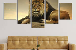 Модульная картина из 5 частей на холсте KIL Art Умиротворенный взгляд льва 162x80 см (145-52)
