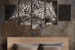 Модульная картина из 5 частей на холсте KIL Art Уставший леопард 162x80 см (207-52)