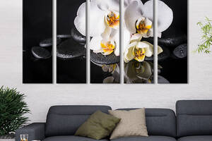 Модульная картина из 5 частей на холсте KIL Art Утонченные белые орхидеи 132x80 см (68-51)