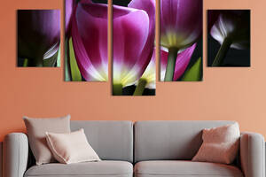 Модульная картина из 5 частей на холсте KIL Art Весенние тюльпаны 162x80 см (221-52)