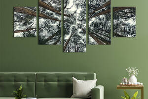 Модульная картина из 5 частей на холсте KIL Art Высокий кедровый лес 162x80 см (617-52)