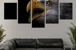 Модульная картина из 5 частей на холсте KIL Art Взгляд орла 162x80 см (176-52)