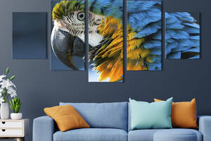 Модульная картина из 5 частей на холсте KIL Art Яркий сине-жёлтый попугай ара 162x80 см (157-52)