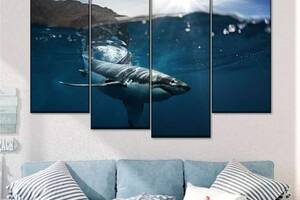 Модульная картина из четырех частей Art Studio Shop Акула под водой 129x90 см (M4_L_164)