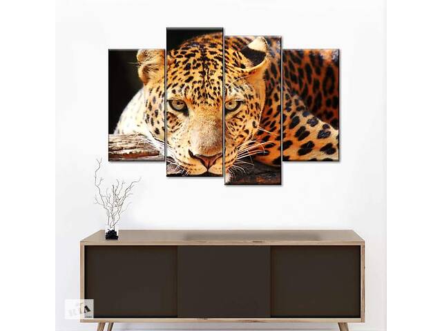 Модульна картина із чотирьох частин Art Studio Shop Хижий погляд леопарда 89x56 см (M4_M_117)
