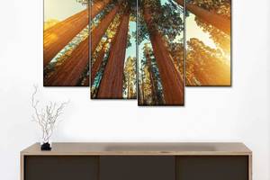 Модульна картина із чотирьох частин Art Studio Shop Красивий ліс 89x56 см (M4_M_209)