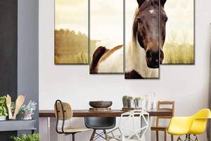 Модульная картина из четырех частей Art Studio Shop Лошадь в степи 89x56 см (M4_M_155)