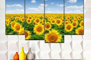Модульна картина із чотирьох частин Art Studio Shop Поле соняшників 89x56 см (M4_M_177)